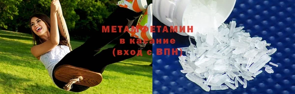 индика Новозыбков