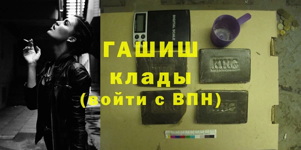 сатива Новодвинск