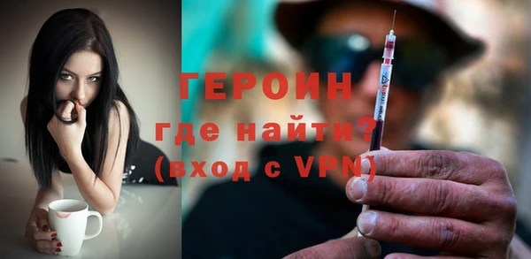 индика Новозыбков