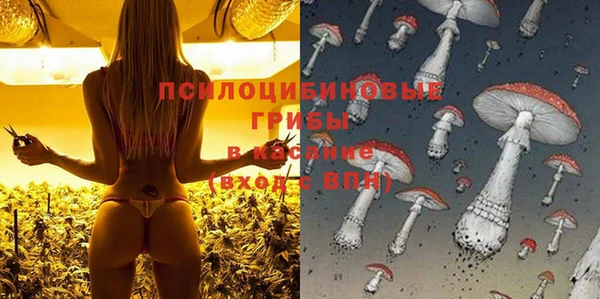 сатива Новодвинск