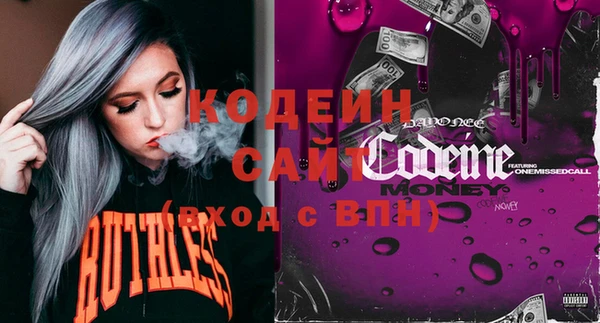 амф Няндома