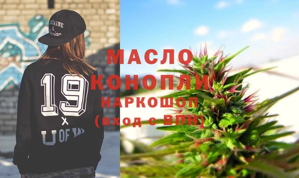 сатива Новодвинск