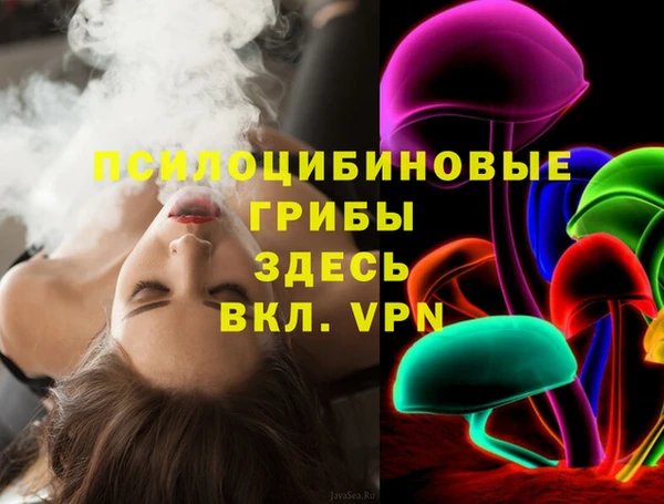 твердый Бородино