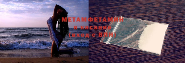 индика Новозыбков