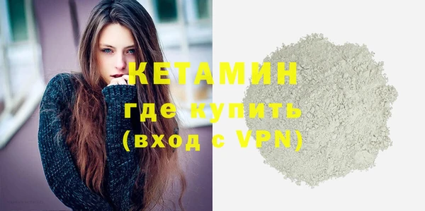 индика Новозыбков