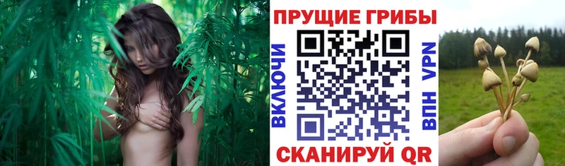 Псилоцибиновые грибы Magic Shrooms  KRAKEN ONION  Кинешма 