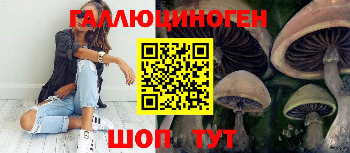 Кинешма  Псилоцибиновые грибы прущие грибы  цены   Галлюциногенные грибы ЛСД  Вход с VPN 