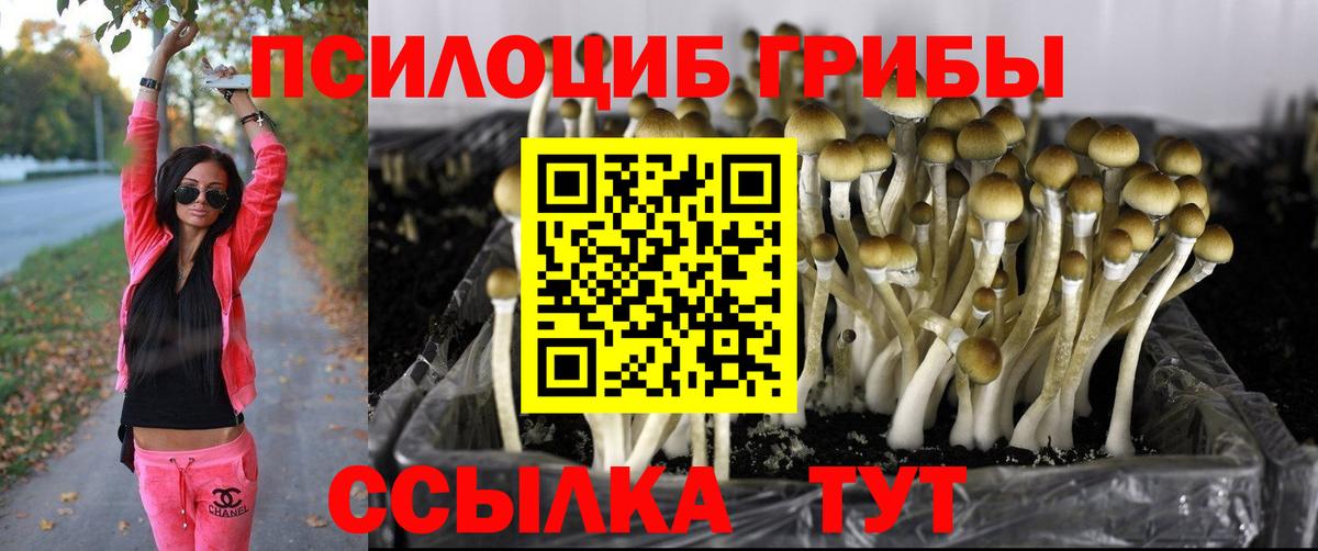 NBOMe Кинешма