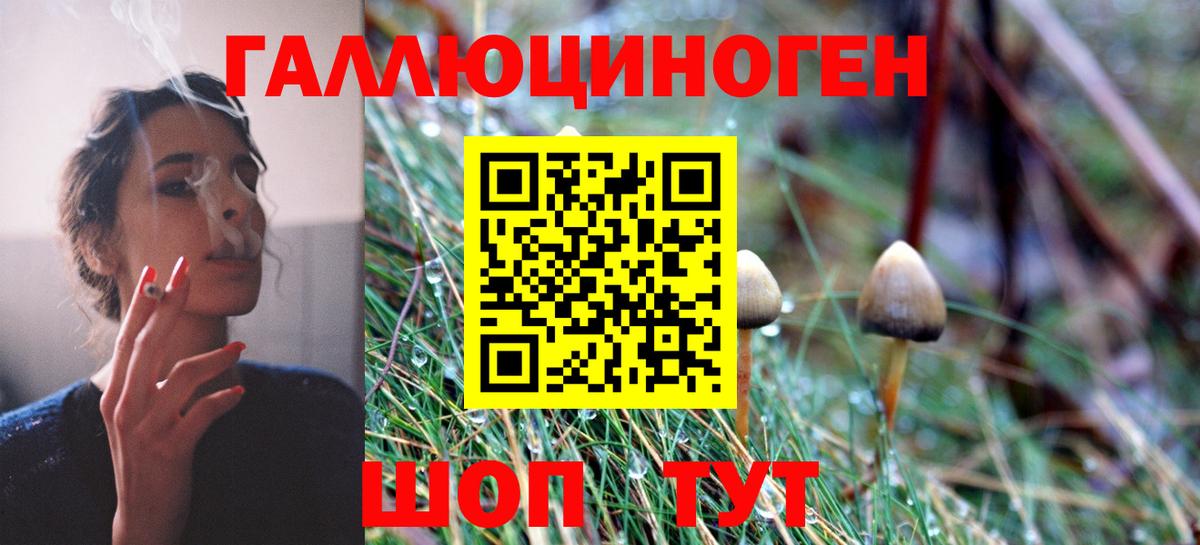 Псилоцибиновые грибы ЛСД Кинешма
