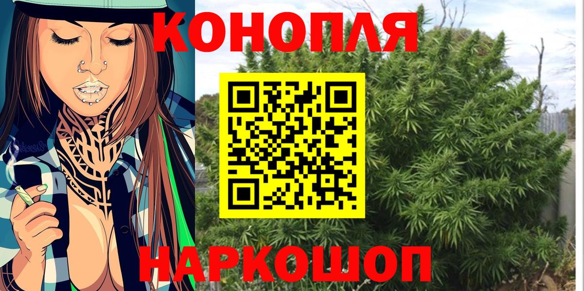 Шишки марихуана семена Кинешма